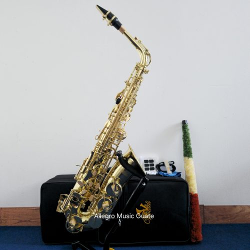 Saxofón dorado, Alto Vivaldi