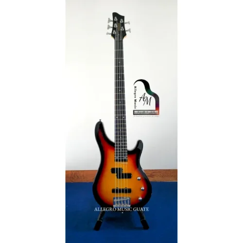 Bajo Electrico de 5 cuerdas, Pasivo, Hendrix Sombreado SB