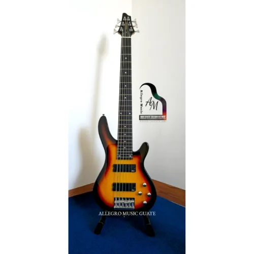 Bajo Electrico de 6 cuerdas, Activo, Hendrix Sombreado SB